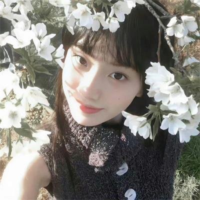 旗安84的奇趣民宿